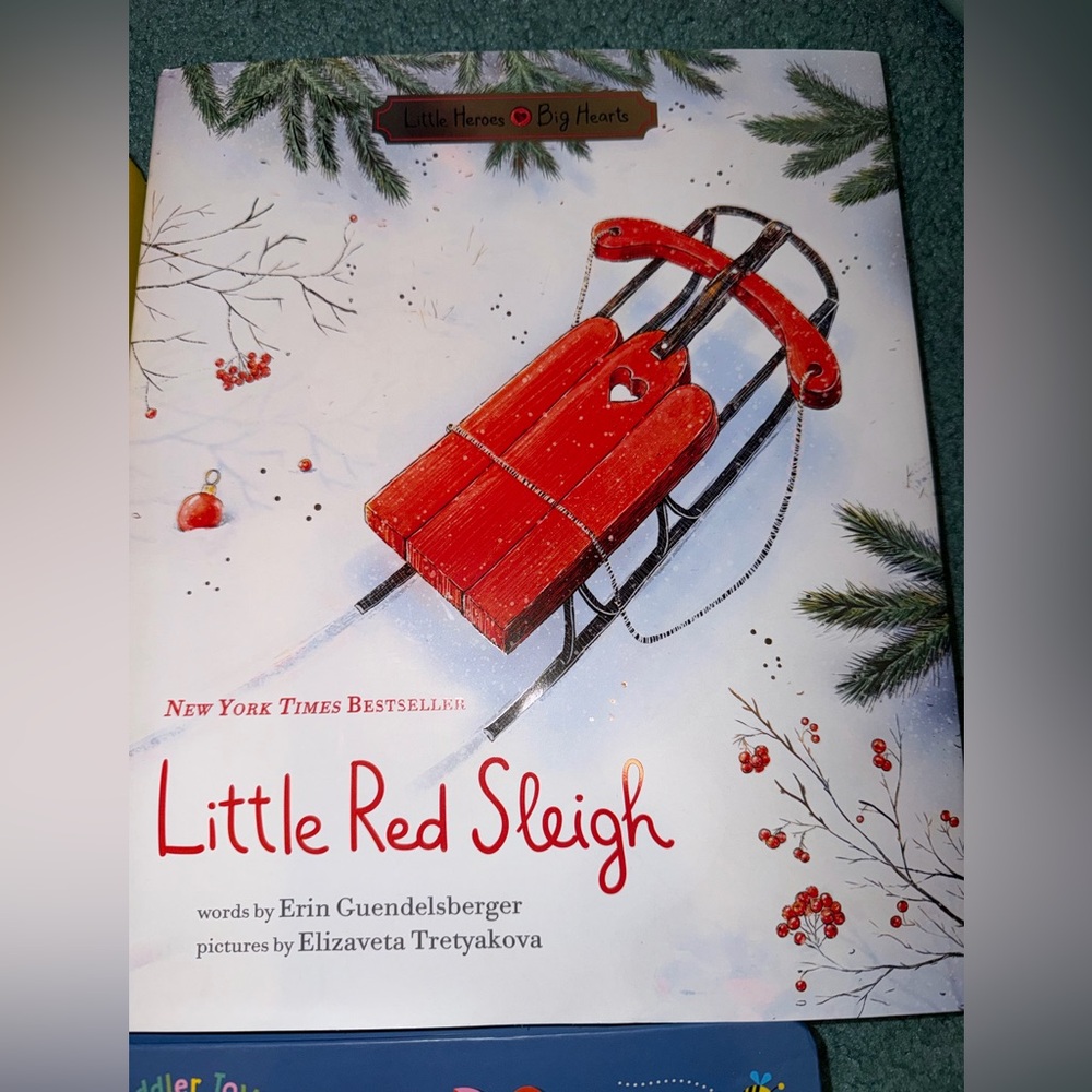 Kids Book Bundle! - Picture 5 of 5